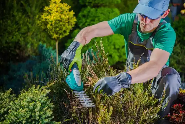 landscaping services Muttontown